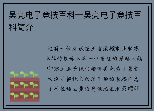 吴亮电子竞技百科—吴亮电子竞技百科简介